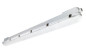 Preview: Philips LED CoreLine Feuchtraumleuchte 68W Neutralweiss 150cm 8718699409289