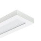 Preview: Philips LED Anbauleuchte Ledinaire 20x120cm 28-33W 3400-4000lm Neutralweiss 4000K UGR19 8720169764712