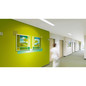 Preview: Philips LED Anbauleuchte Ledinaire 20x120cm 28-33W 3400-4000lm Neutralweiss 4000K UGR19 8720169764712