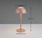 Preview: Reality R54106165 Ricardo LED Tischleuchte 1,7W ⌀13,5cm Coffee IP54 warmweiss Touch