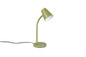 Preview: Reality R55831115 Pongo LED Tischleuchte 4,5W Grün warmweiss