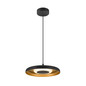 Preview: SLV 1010216 MOTUNA, PD, Phase, Pendelleuchte, 2700K, 10W, 130°, schwarz / goldfarben