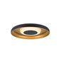 Preview: SLV 1010217 MOTUNA, CW, Phase, Wand- und Deckenaufbauleuchte, rund, 2700K, 10W, 130°, schwarz / goldfarben