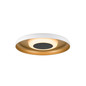Preview: SLV 1010365 MOTUNA, CW, Phase, Wand- und Deckenaufbauleuchte, rund, 2700K, 10W, 130°, weiß / goldfarben