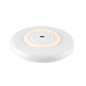 Preview: SLV 1010365 MOTUNA, CW, Phase, Wand- und Deckenaufbauleuchte, rund, 2700K, 10W, 130°, weiß / goldfarben