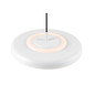 Preview: SLV 1010366 MOTUNA, PD, Phase, Pendelleuchte, 2700K, 10W, 130°, weiß / goldfarben