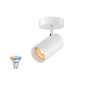 Preview: SLV 1012505 ASTO TUBE Smart Set, CW, Single, GU10, PAR16, ZIGBEE, TW, Wand- und Deckenaufbauleuchte, weiß