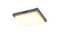 Preview: Trio 630369242 Bermejo LED Deckenleuchte 14W Anthrazit IP54 CCT einstellbare Lichtfarbe