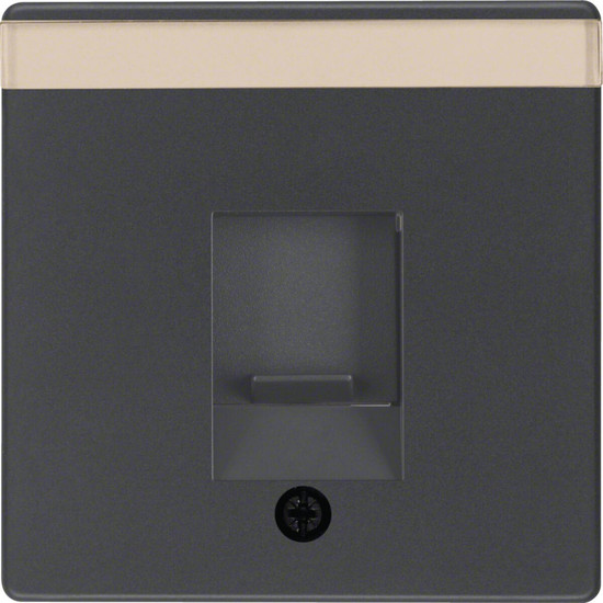 Berker 11706086 Zentralstück mit Staubschutzschieber und Beschriftungsfeld Q.x anthrazit. samt