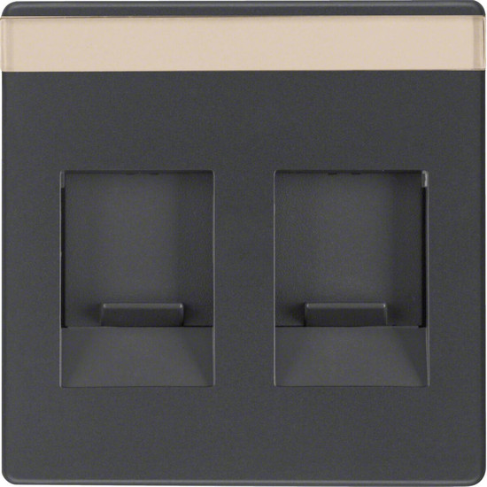Berker 11816086 Zentralstück mit Staubschutzschiebern und Beschriftungsfeld Q.x anthrazit. samt