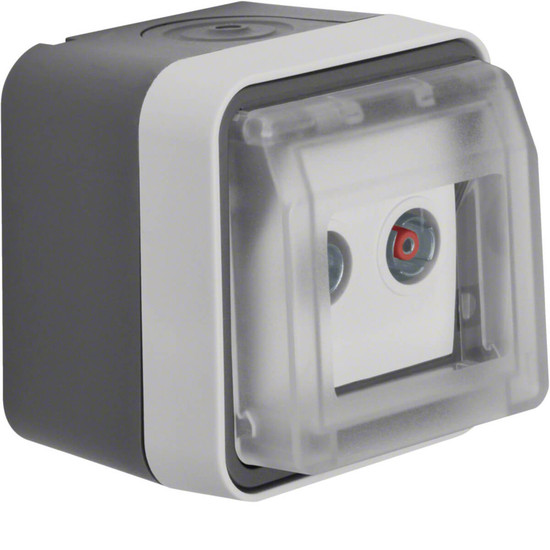 Berker 12033525 Antennen-Steckdose 2Loch Durchgangsdose AP W.1 grau