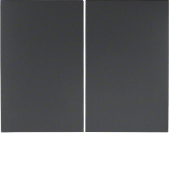 Berker 14357006 Wippe 2fach K.1 anthrazit. matt