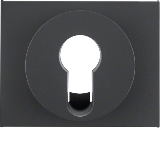 Berker 15057006 Zentralstück für Schlüsselschalter/-taster K.1 anthrazit. matt