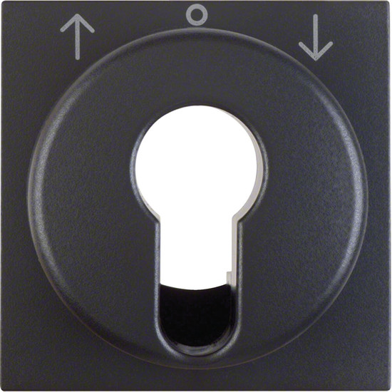 Berker 15061606 Zentralstück für Jalousie-Schlüsselschalter/-taster S.1/B.3/B.7 anthrazit. matt