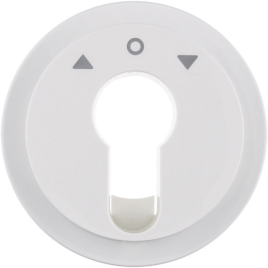 Berker 15062089 Zentralstück für Jal. Schlüsselsch./-taster. R.1/R.3. polarw. gl.