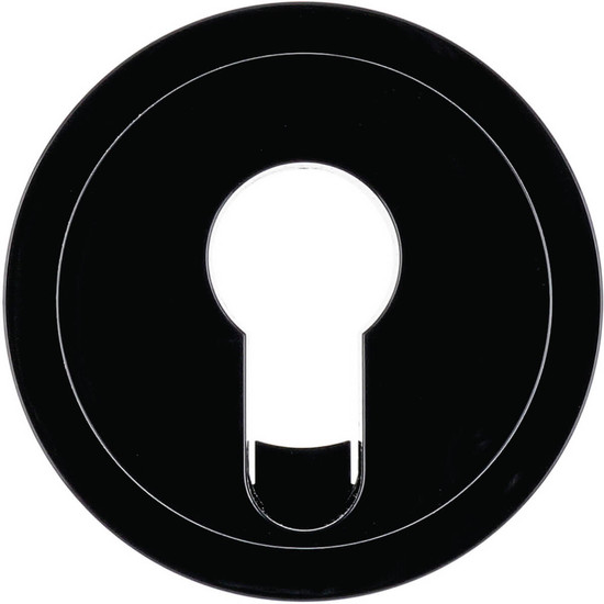 Berker 15072045 Zentralstück für Schlüsselschalter/-taster. R.1/R.3. schwarz glänzend