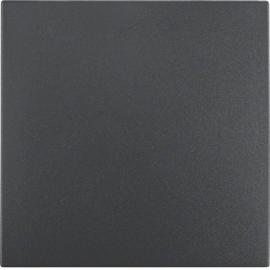 Berker 16201606 Wippe S.1/B.3/B.7 anthrazit. matt