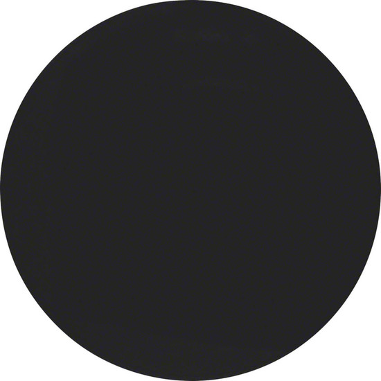 Berker 16202045 Wippe R.1/R.3 schwarz. glänzend