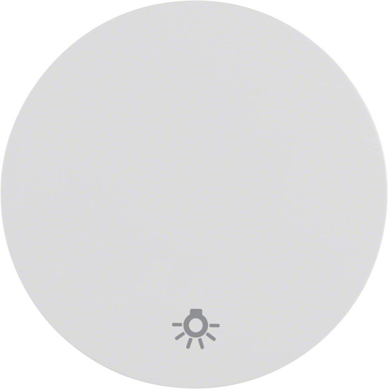Berker 16202079 Wippe mit Aufdruck Symbol Licht R.1/R.3 polarweiß. glänzend