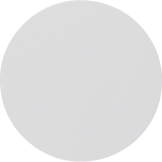 Berker 16202089 Wippe R.1/R.3 polarweiß. glänzend