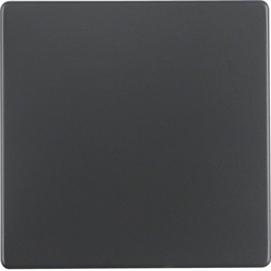 Berker 16206086 Wippe Q.x anthrazit. samt