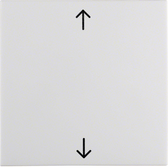 Berker 16208919 Wippe mit Aufdruck Symbol Pfeile S.1/B.3/B.7 polarweiß. glänzend