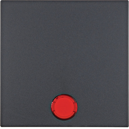 Berker 16211606 Wippe mit 5 beiliegenden Linsen S.1/B.3/B.7 anthrazit. matt