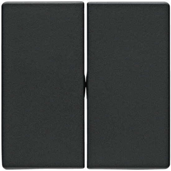 Berker 16236086 Wippe 2fach Q.x anthrazit. samt