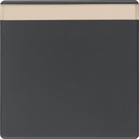 Berker 16266086 Wippe mit Beschriftungsfeld Q.x anthrazit. samt