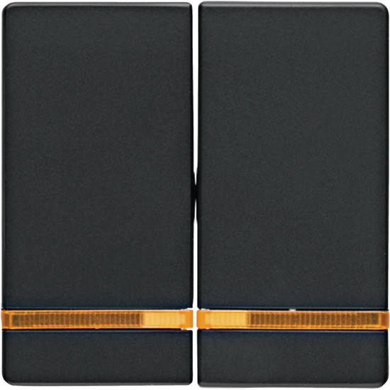 Berker 16276086 Wippe 2fach mit Linse Q.x anthrazit. samt