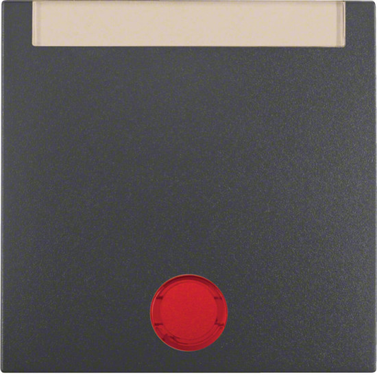 Berker 16281606 Wippe m. 5 beiliegenden Linsen und Beschriftungsfeld S.1/B.3/B.7 anthrazit. matt