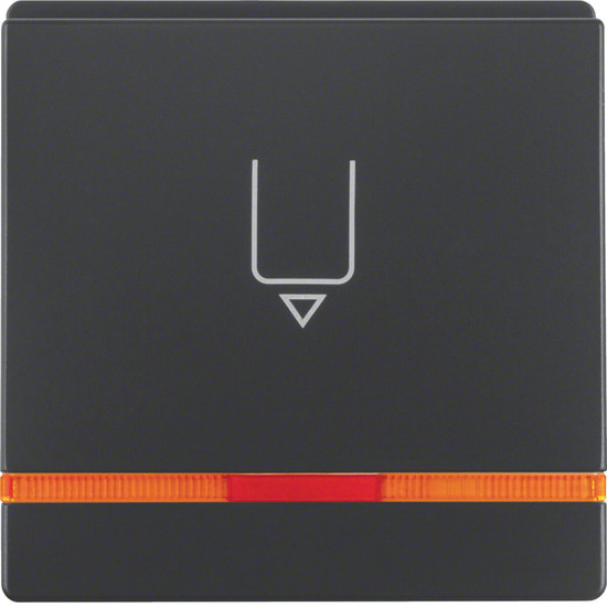 Berker 16406086 Hotelcard-Schaltaufsatz mit Aufdruck und oranger Linse Q.x anthrazit. samt