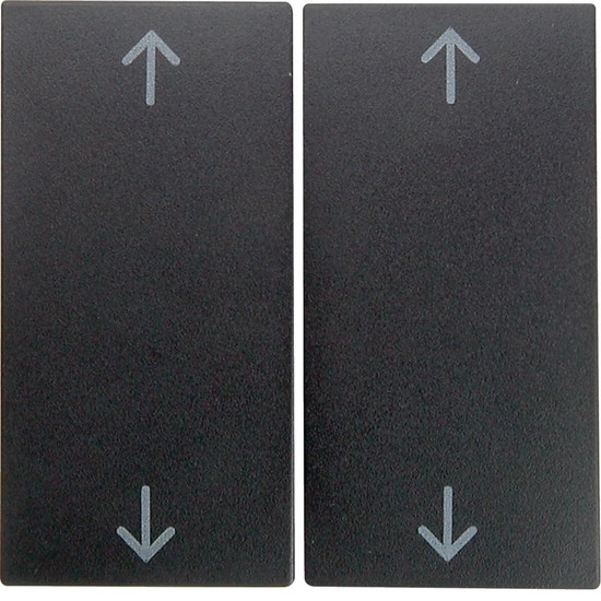Berker 16441606 Wippe 2fach mit Aufdruck Symbol Pfeile S.1/B.3/B.7 anthrazit. matt