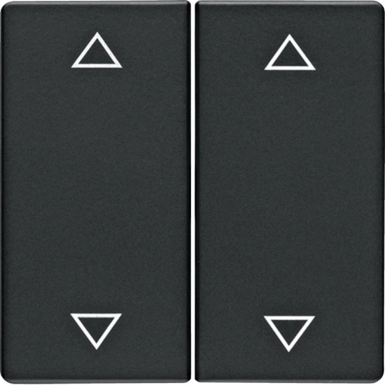 Berker 16446086 Wippe 2fach mit Aufdruck Symbol Pfeile Q.x anthrazit. samt