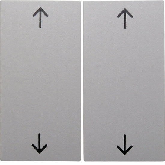 Berker 16448989 Wippe 2fach mit Aufdruck Symbol Pfeile S.1/B.3/B.7 polarweiß. glänzend