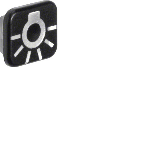 Berker 18223501 Linse mit Aufdruck Symbol Licht W.1. 10er-Set