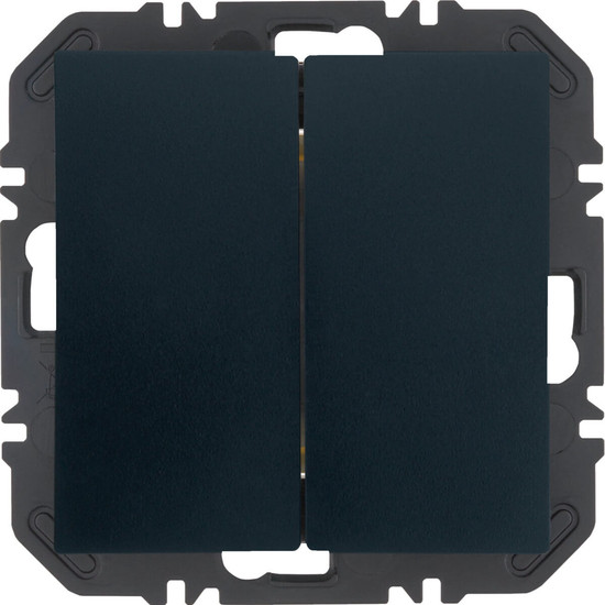 Berker 24121636 Friends of Hue Tasten mit Wippe 2fach. B.x. anthrazit samt