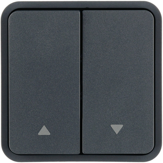 Berker 30653565 Wippe 2fach für Taster-BA.Bedruckung 2 Pfeile rechts/links.grau