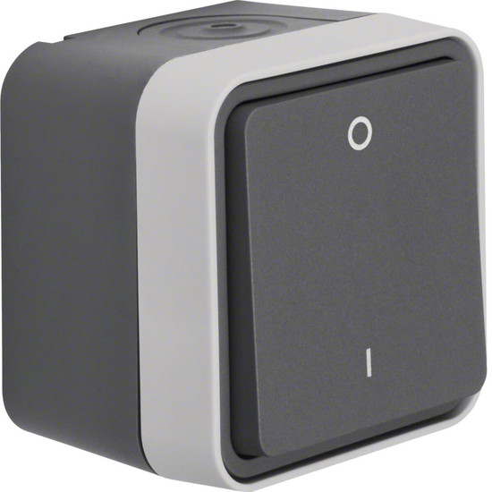 Berker 30723505 Ausschalter 2-polig mit Aufdruck 0und AP W.1 grau LT