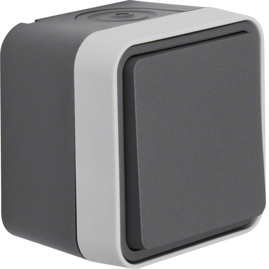 Berker 30763505 Wechselschalter AP W.1 grau LT