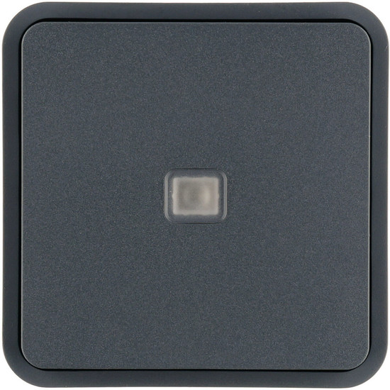 Berker 30863545 Wippe 1fach für W.1 Taster-BA.mit einer Linse.grau