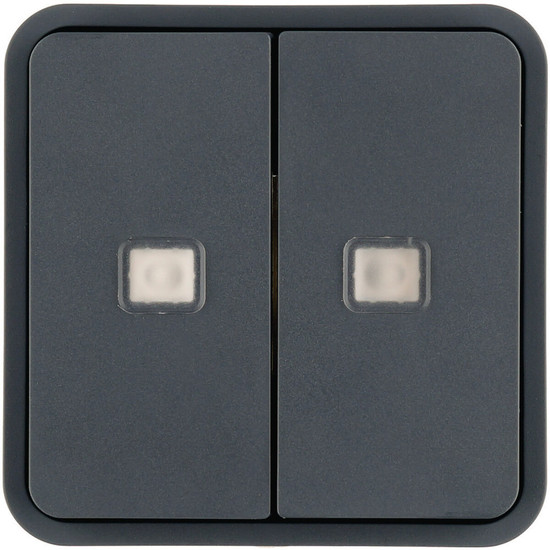 Berker 30863555 Wippe 2fach. für W.1 Taster-BA.mit zwei Linsen.grau