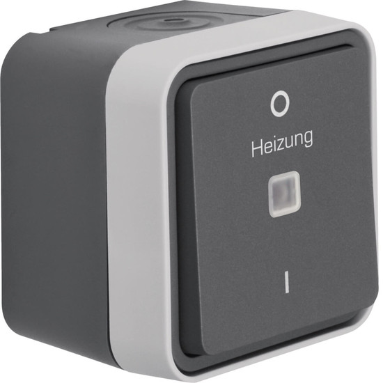 Berker 35623505 Kontroll-Ausschalter 2polig. Aufdruck eizung. 0 und 1 AP W.1 grau LT