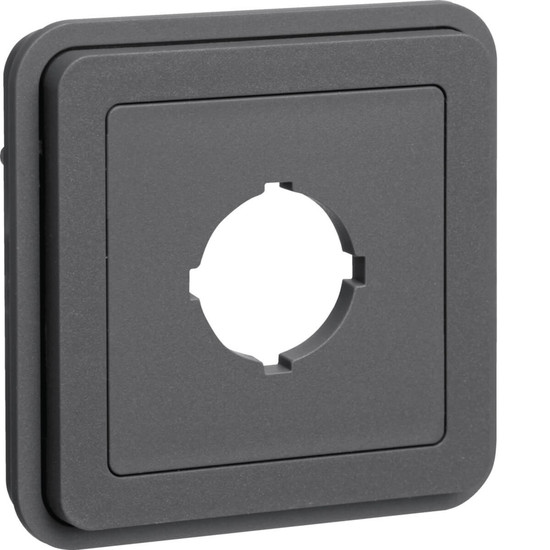 Berker 42913505 Abdeckung mit Stecköffnung Ø22.5 mm W.1 grau