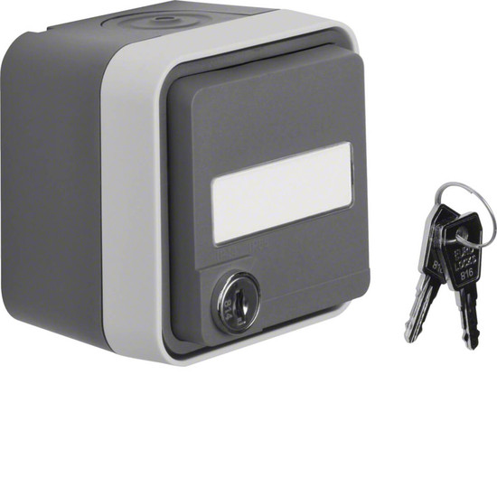 Berker 47393505 Steckdose Schuko mit Klappd. Beschriftungsfeld.ungl. Schließung AP W.1 grau