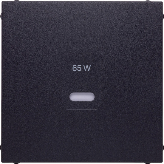 Berker 48601606 Zentralstück für USB B.x. anthrazit matt. lackiert