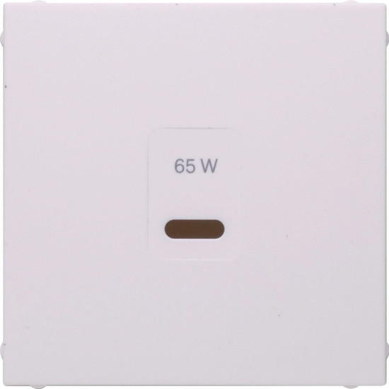 Berker 48601909 Zentralstück für USB S.1. polarweiß matt