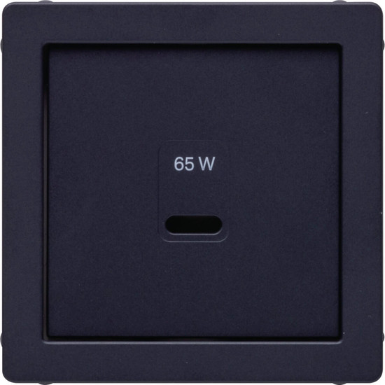 Berker 48606086 Zentralstück für USB Q.x. anthrazit samt. lackiert