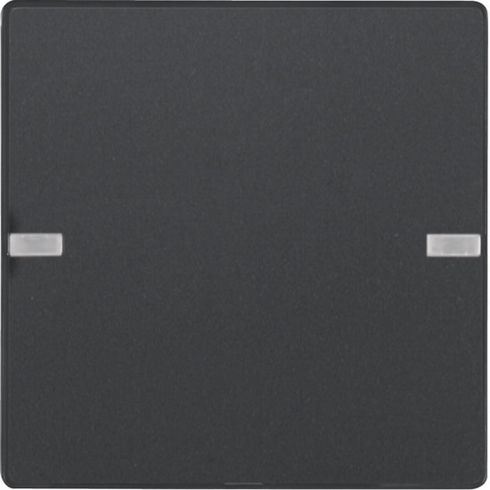 Berker 80141326 Tastsensor 1fach Komfort mit Beschriftungsfeld KNX Q.x anthrazit samt