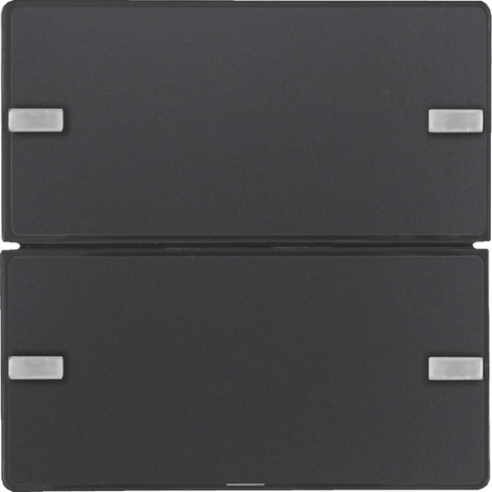 Berker 80142326 Tastsensor 2fach Komfort mit Beschriftungsfeld KNX Q.x anthrazit samt